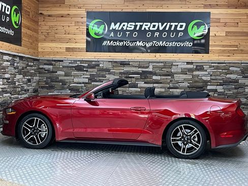 Used 2019 Ford Mustang Convertible w/ Equipment Group 101A RWD image 39