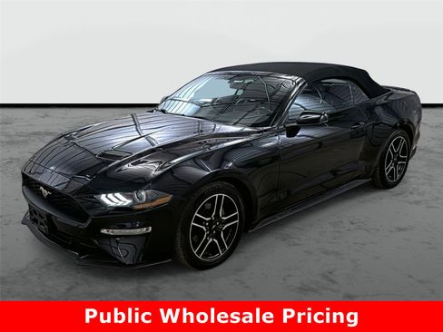 Used 2020 Ford Mustang Premium image 1