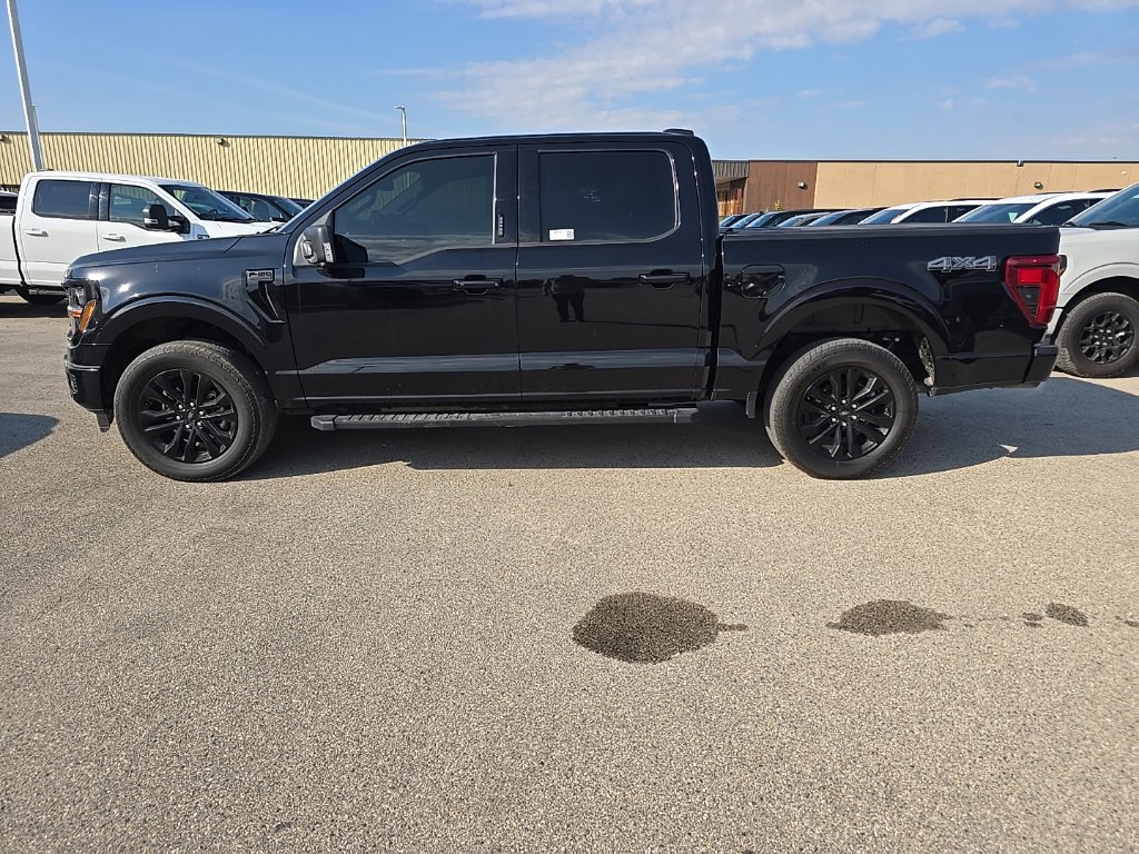 Used 2024 Ford F150 XLT w/ Equipment Group 303A High AWD/4WD image 3