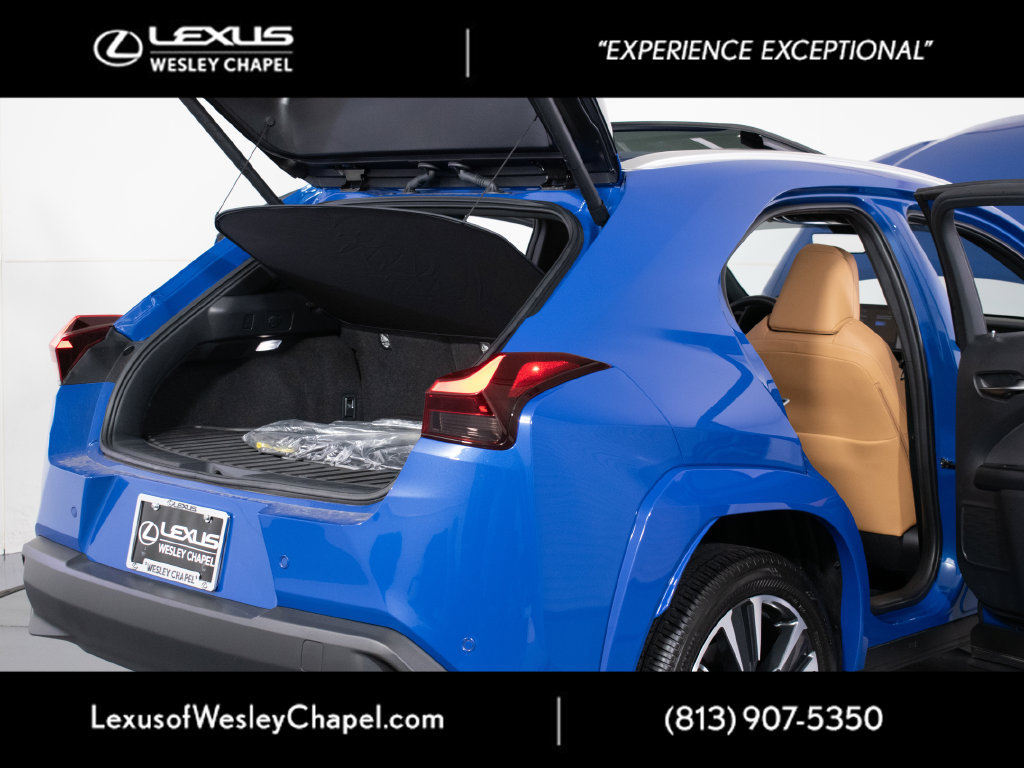 Certified 2025 Lexus UX 300h FWD w/ Cold Area Package image 12