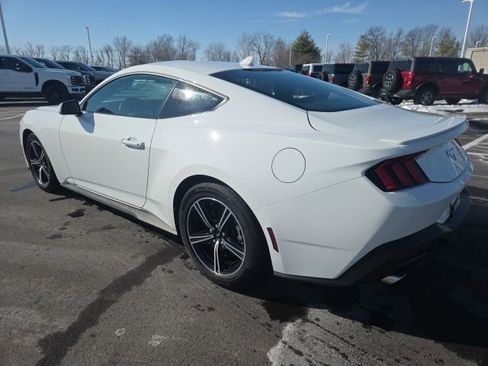 Certified 2025 Ford Mustang Premium image 3