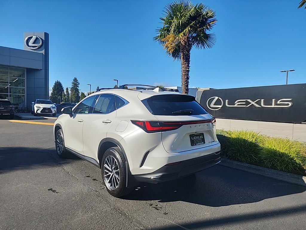 Certified 2025 Lexus NX 350h AWD w/ Cold Area Package image 3