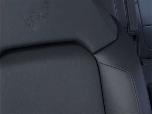 New 2025 Ford Bronco Badlands image 18