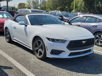 Used 2024 Ford Mustang Premium