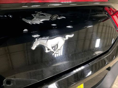 Certified 2024 Ford Mustang Premium image 8