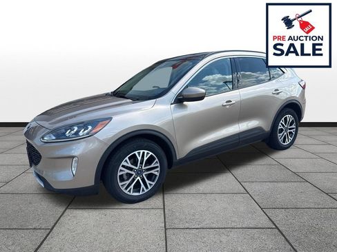 Used 2020 Ford Escape SEL AWD/4WD image 1