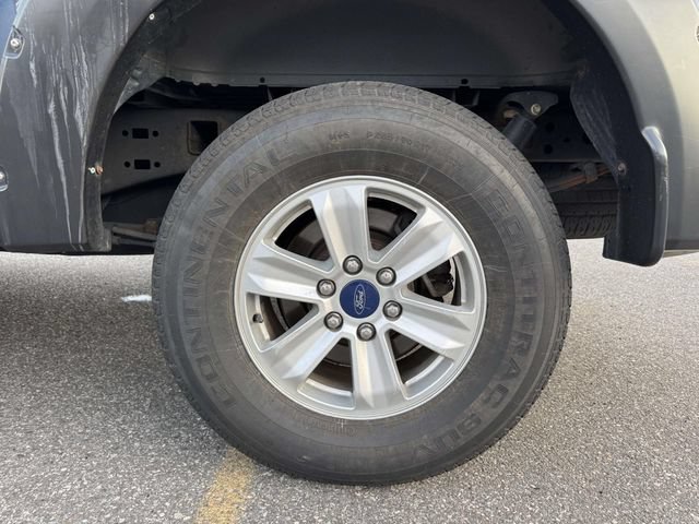 Used 2017 Ford F150 XL w/ Equipment Group 101A Mid AWD/4WD image 12