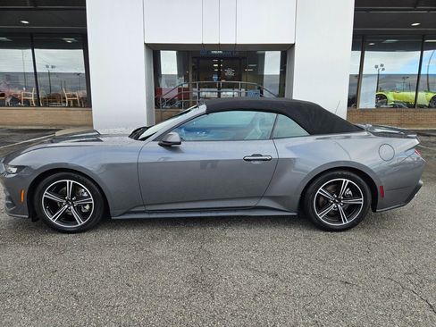 Used 2024 Ford Mustang Premium image 3