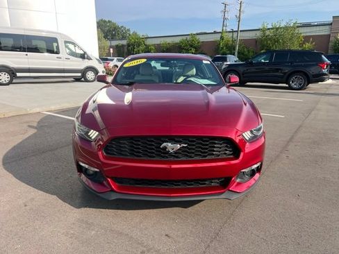 Used 2016 Ford Mustang Premium w/ Equipment Group 201A RWD image 2