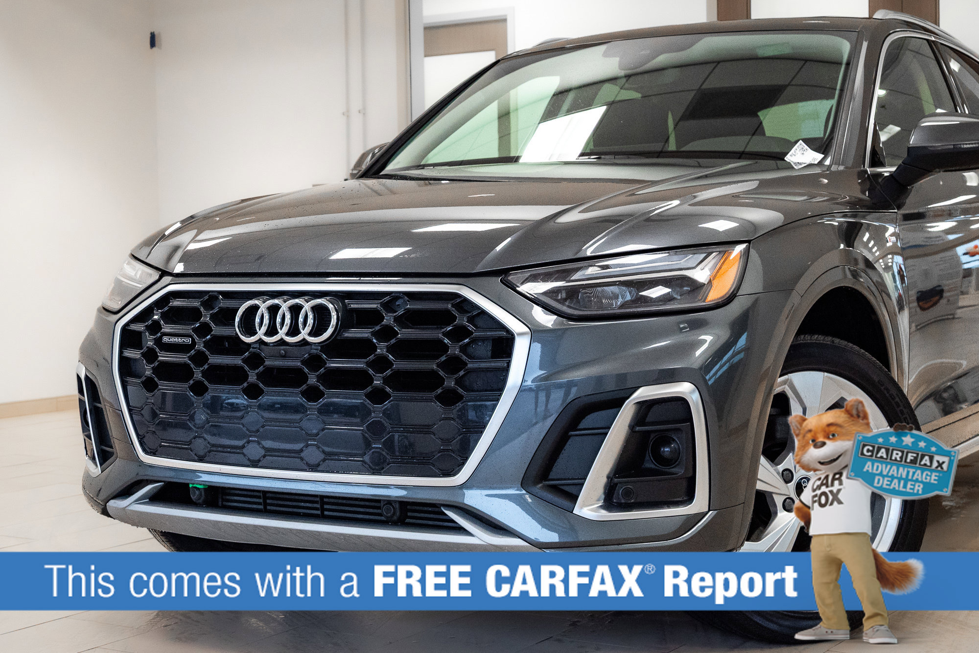 Used 2023 Audi Q5 2.0T Premium Plus w/ Premium Plus Package AWD/4WD image 2
