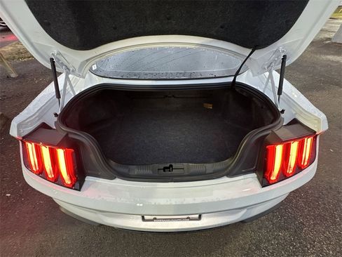 Used 2019 Ford Mustang GT Premium w/ Equipment Group 401A image 23