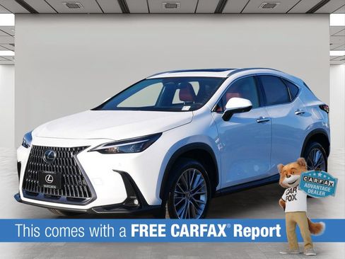 Certified 2026 Lexus NX 350h AWD w/ Accessory Package (2T) image 2