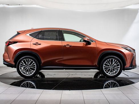 Used 2025 Lexus NX 350 AWD w/ Cold Area Package image 11
