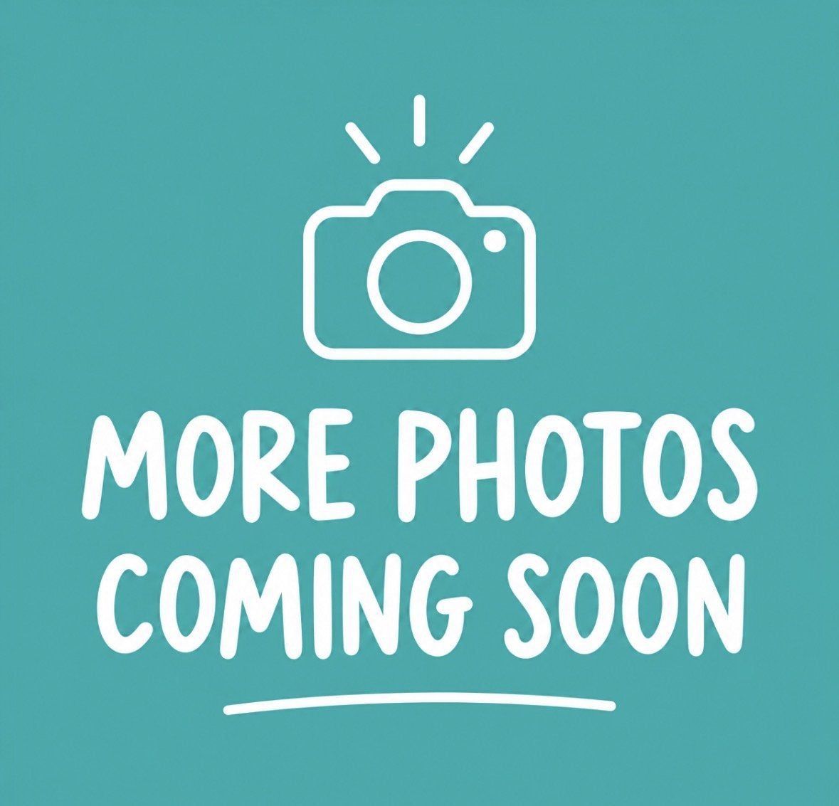 Used 2023 Ford Bronco Wildtrak AWD/4WD image 3