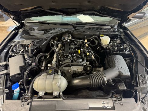 Used 2023 Ford Mustang Coupe w/ Mustang Nite Pony Package RWD image 15