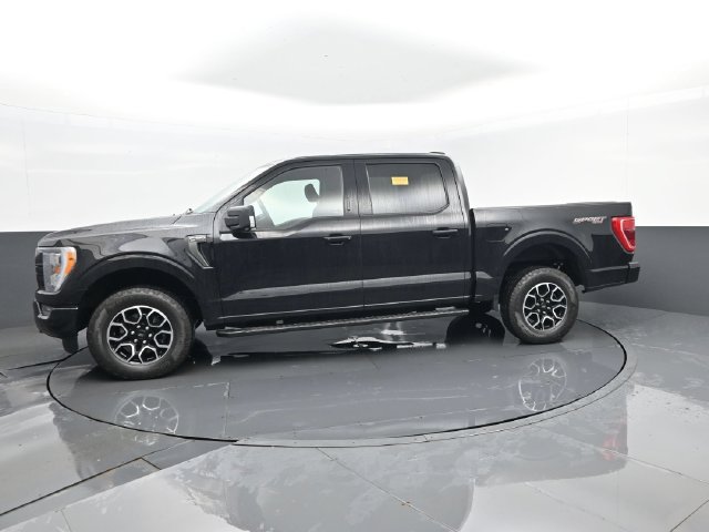 Used 2023 Ford F150 XLT w/ Equipment Group 302A High AWD/4WD image 5