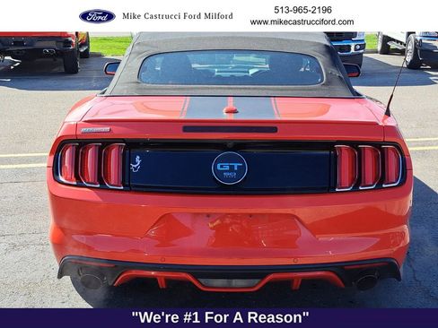 Used 2015 Ford Mustang GT Premium w/ Equipment Group 401A image 4