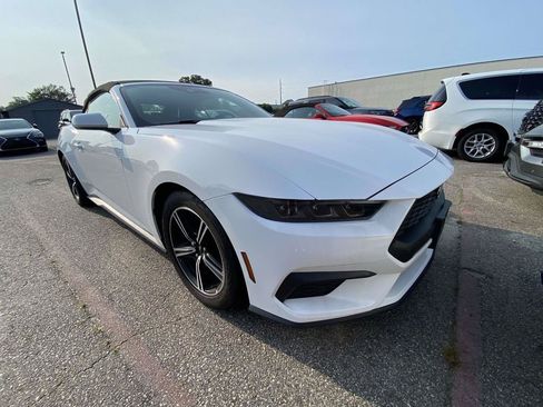 Used 2025 Ford Mustang Premium RWD image 1