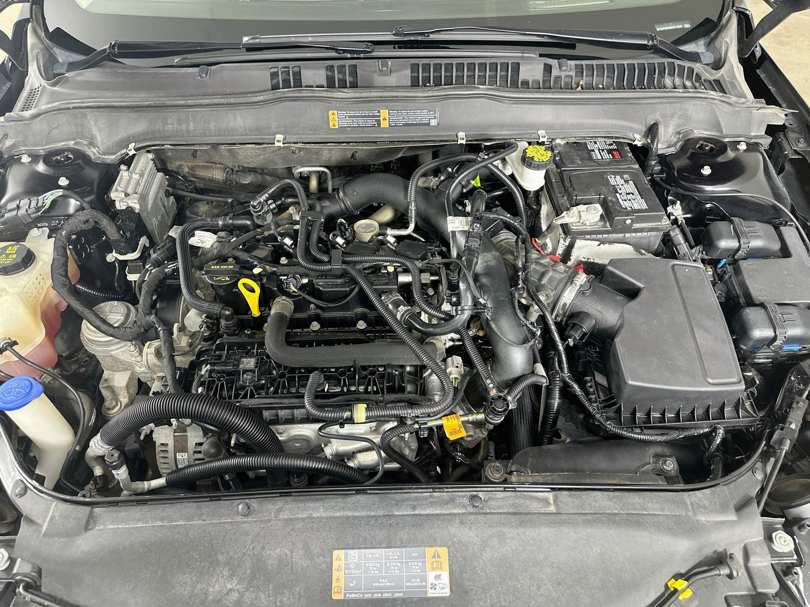 Used 2019 Ford Fusion SE FWD image 13