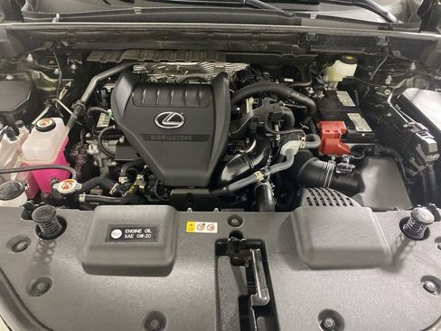 Certified 2025 Lexus NX 350 AWD w/ Cold Area Package image 36