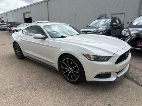 Used 2017 Ford Mustang Premium w/ Wheel & Stripe Package RWD image 2