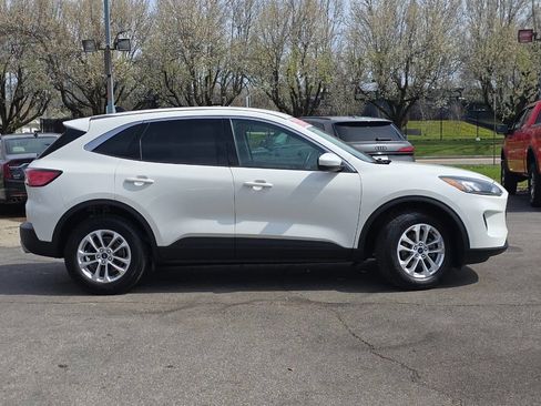 Used 2020 Ford Escape SE image 4