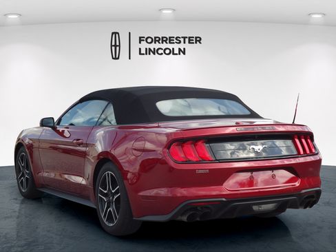 Used 2019 Ford Mustang Premium w/ Equipment Group 201A RWD image 10