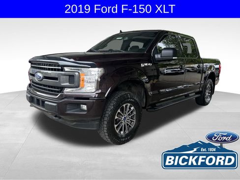 Used 2019 Ford F150 XLT w/ Equipment Group 302A Luxury AWD/4WD image 1