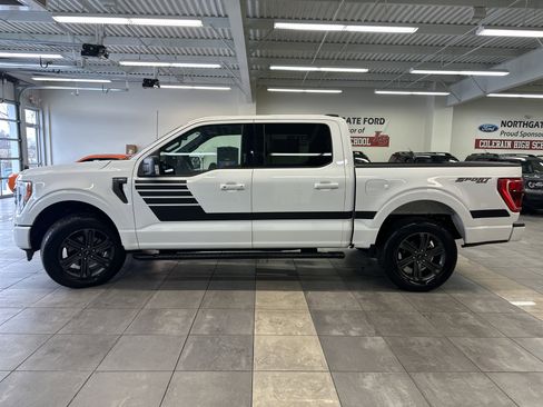 Used 2023 Ford F150 XLT w/ Equipment Group 302A High image 19