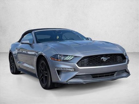 Used 2023 Ford Mustang Premium w/ Equipment Group 201A RWD image 2