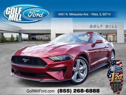 Certified 2019 Ford Mustang Premium w/ Equipment Group 201A