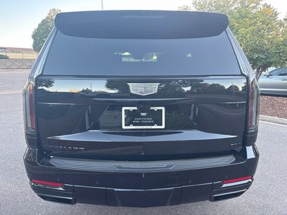 Used 2026 Cadillac Escalade Platinum Sport w/ LPO, ONYX Package