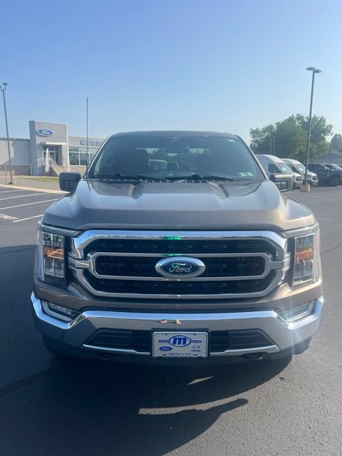 Used 2023 Ford F150 XLT w/ Equipment Group 302A High AWD/4WD image 2
