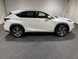 Used 2020 Lexus NX 300h AWD w/ Premium Package image 4