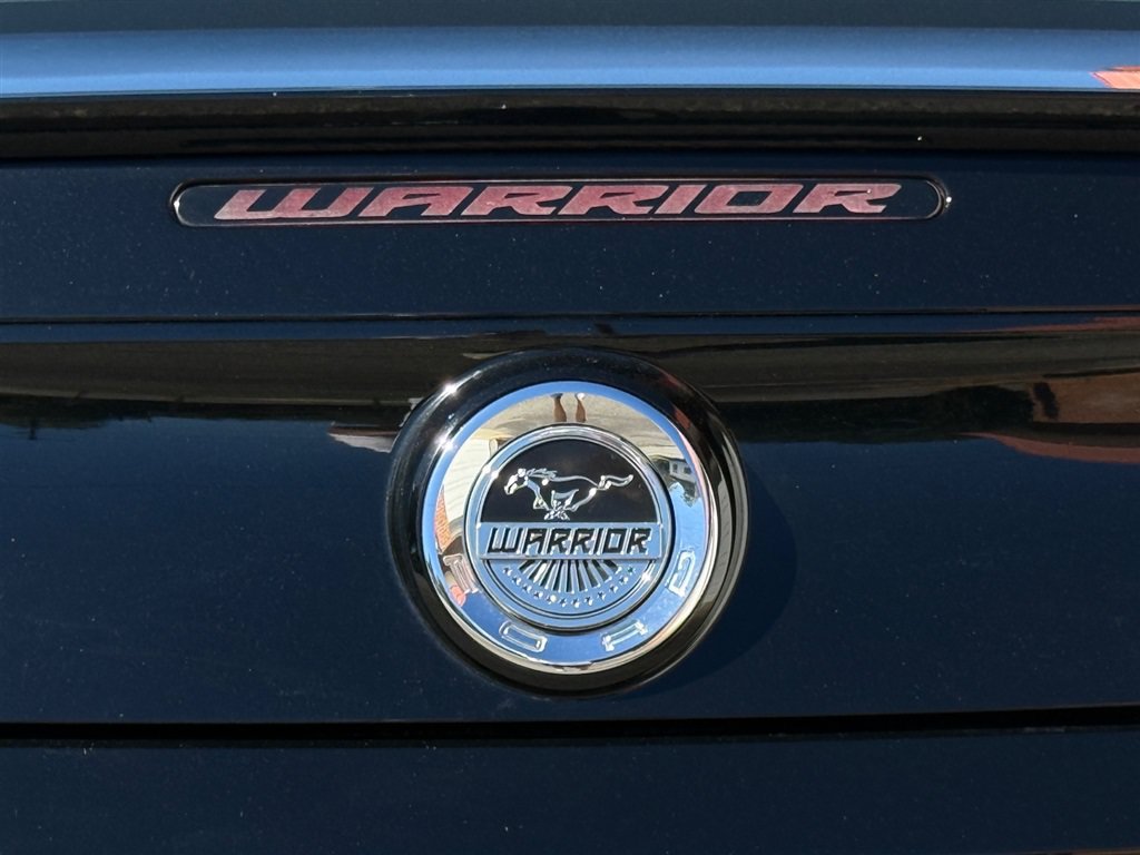 Used 2014 Ford Mustang GT w/ FP8 Appearance Package RWD image 22