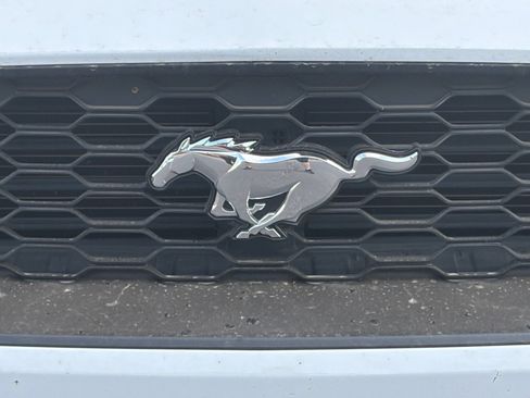 Used 2018 Ford Mustang Premium RWD image 7