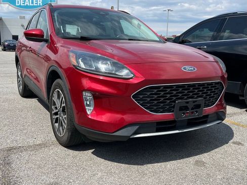 Used 2021 Ford Escape SEL image 1