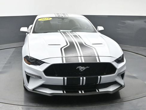 Used 2019 Ford Mustang Coupe w/ Equipment Group 101A RWD image 5