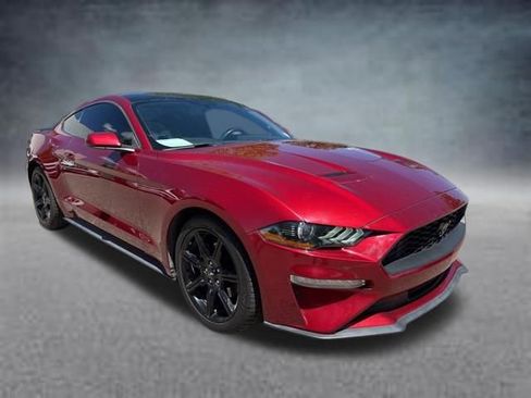 Used 2019 Ford Mustang Coupe w/ Equipment Group 101A RWD image 1