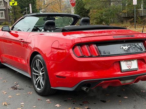 Used 2017 Ford Mustang Premium image 11