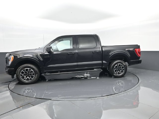 Used 2023 Ford F150 XLT w/ Equipment Group 302A High AWD/4WD image 5