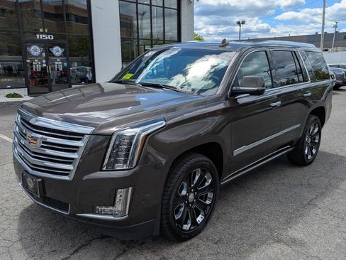 Used 2020 Cadillac Escalade Platinum AWD/4WD image 2