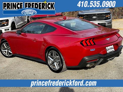 Used 2024 Ford Mustang Premium image 11