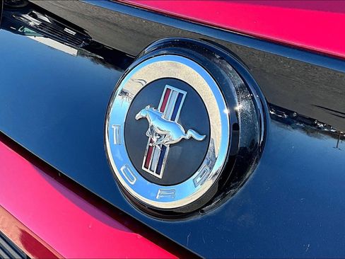 Used 2013 Ford Mustang Premium w/ Comfort Pkg image 8