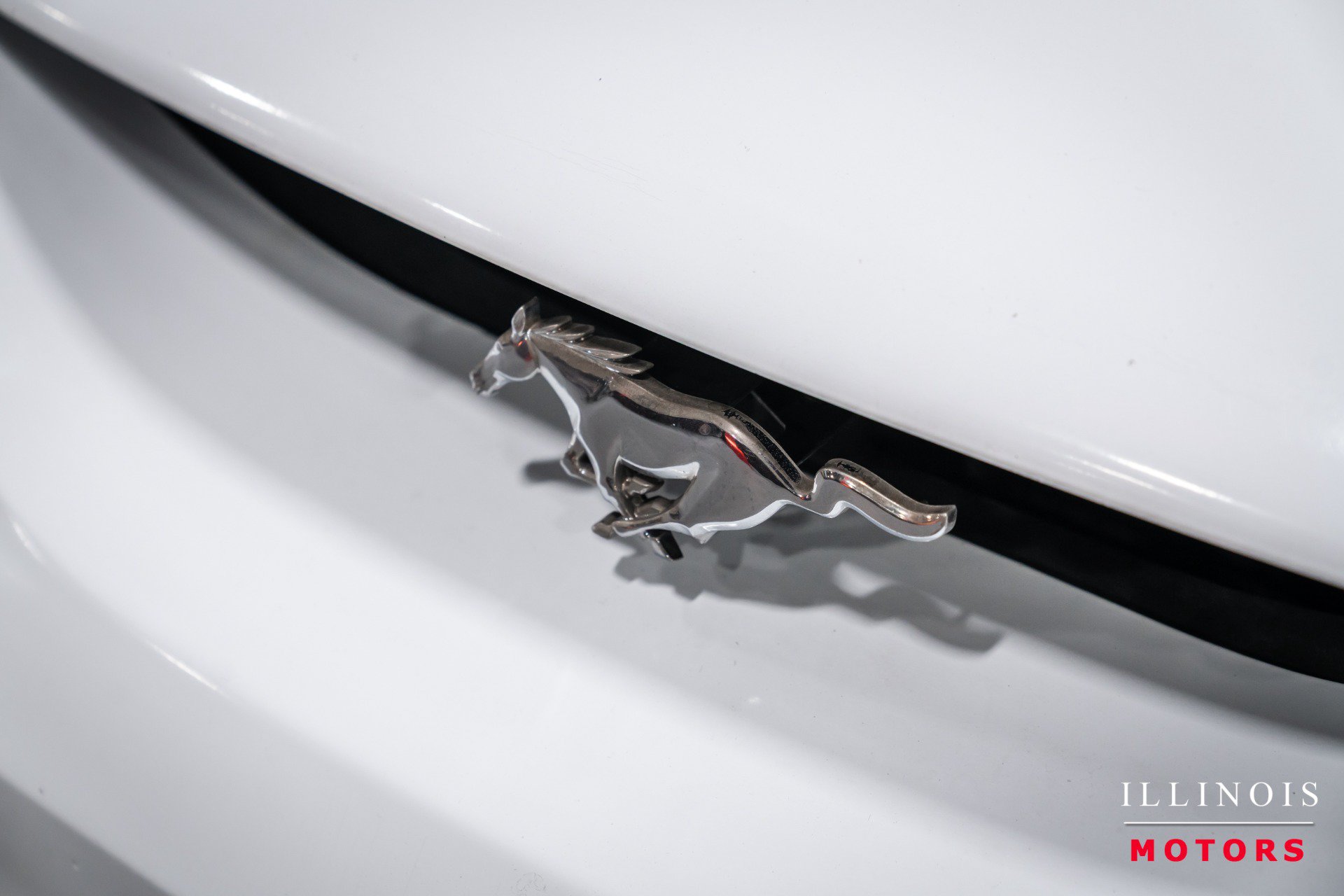 Used 1998 Ford Mustang Cobra RWD image 9