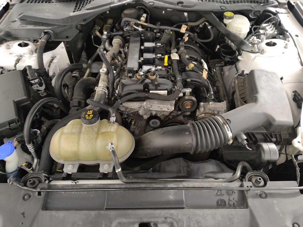 Used 2021 Ford Mustang Premium RWD image 30