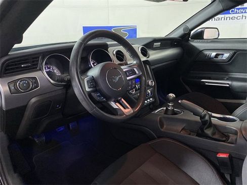 Used 2023 Ford Mustang GT w/ Equipment Group 301A image 15