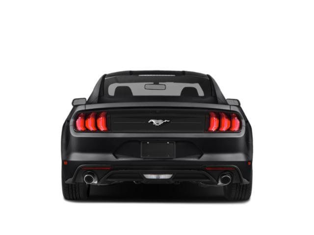 Used 2019 Ford Mustang Coupe RWD image 8