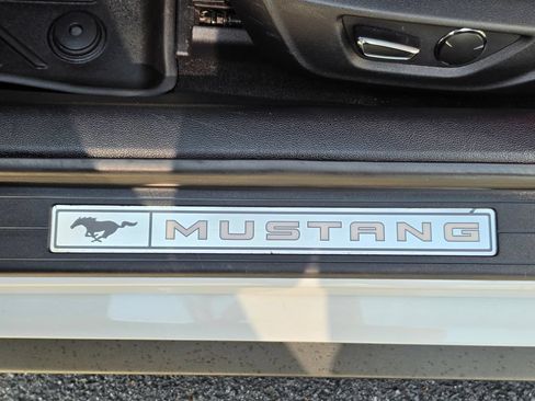 Used 2019 Ford Mustang GT Premium w/ Equipment Group 401A RWD image 31
