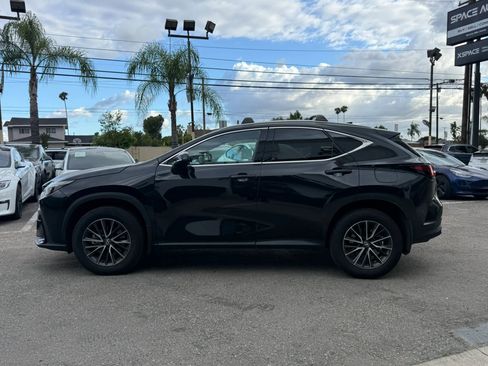 Used 2025 Lexus NX 250 FWD w/ Accessory Package (2T) image 4